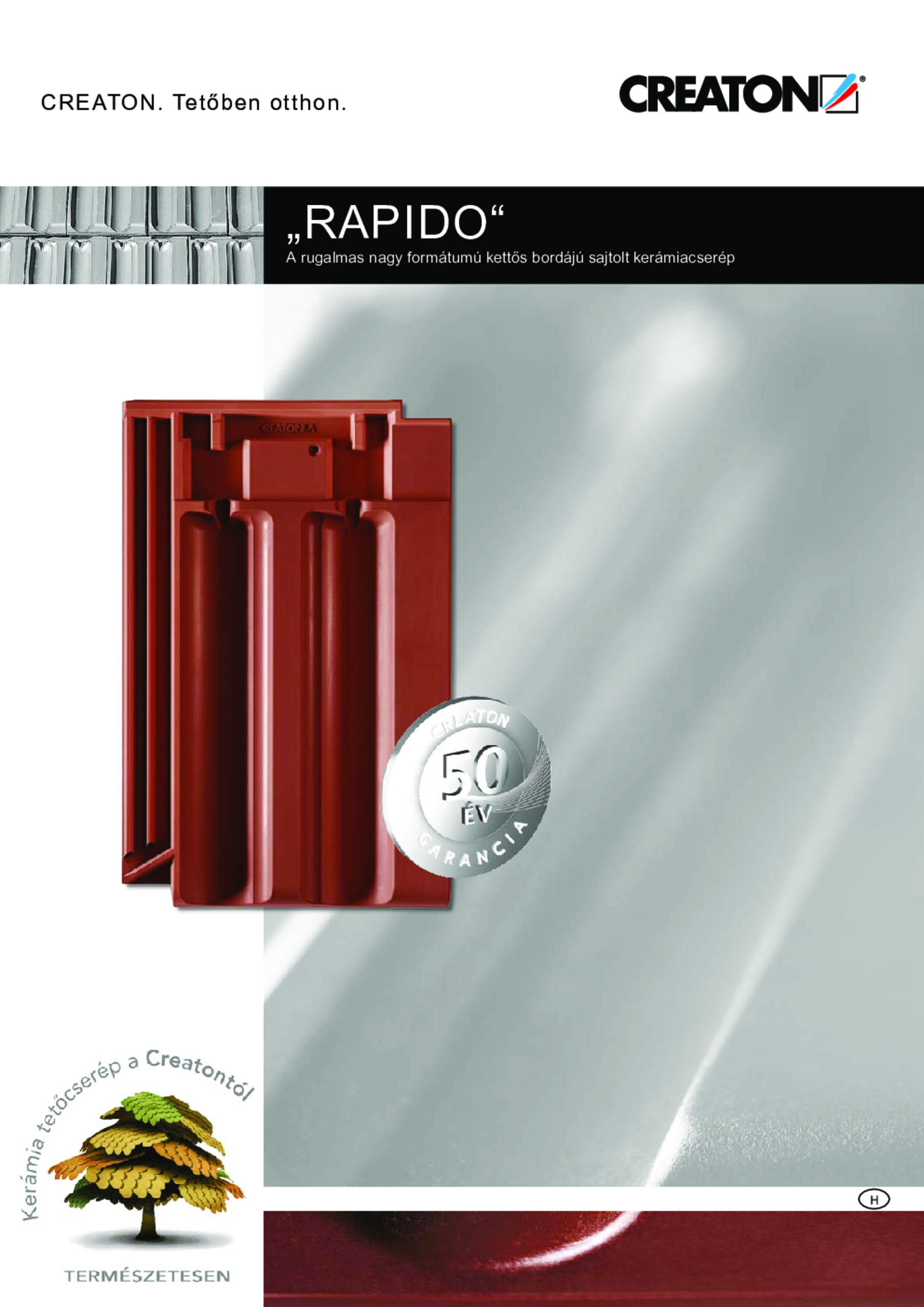 RAPIDO_2017_sza_web.pdf